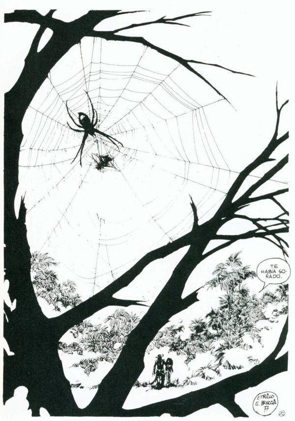 Alvar Mayor Tela de araña Alvar Mayor Tela de araña