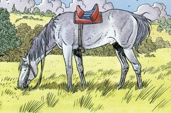 Caballo pastando Caballo pastando