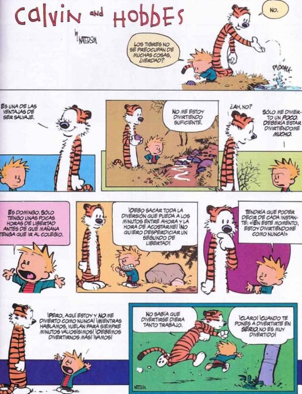 Calvin & Hobbes Diversión