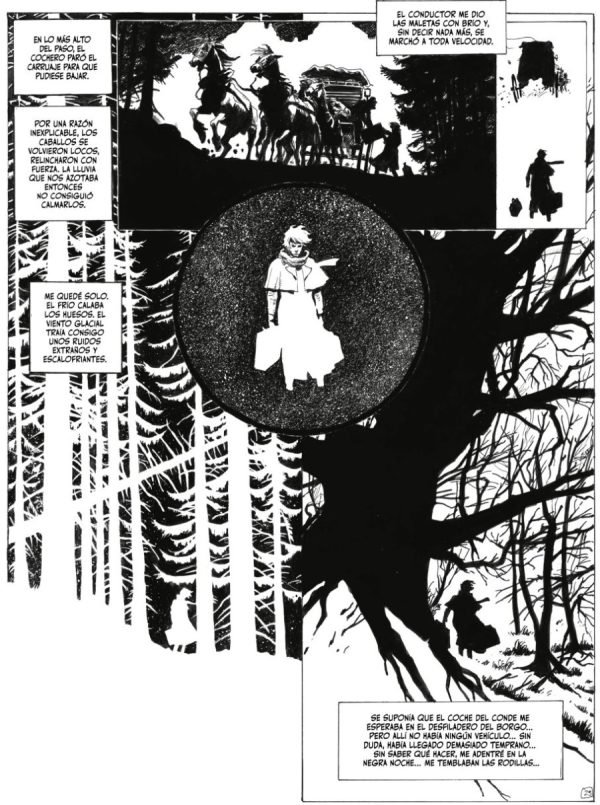 Carruaje de caballos