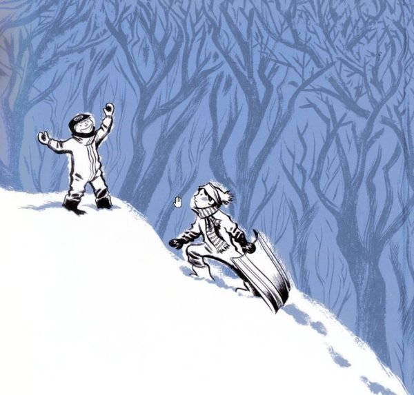 Contraportada Contraportada