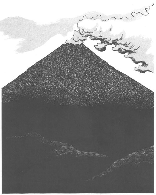 Fénix viñetas finales