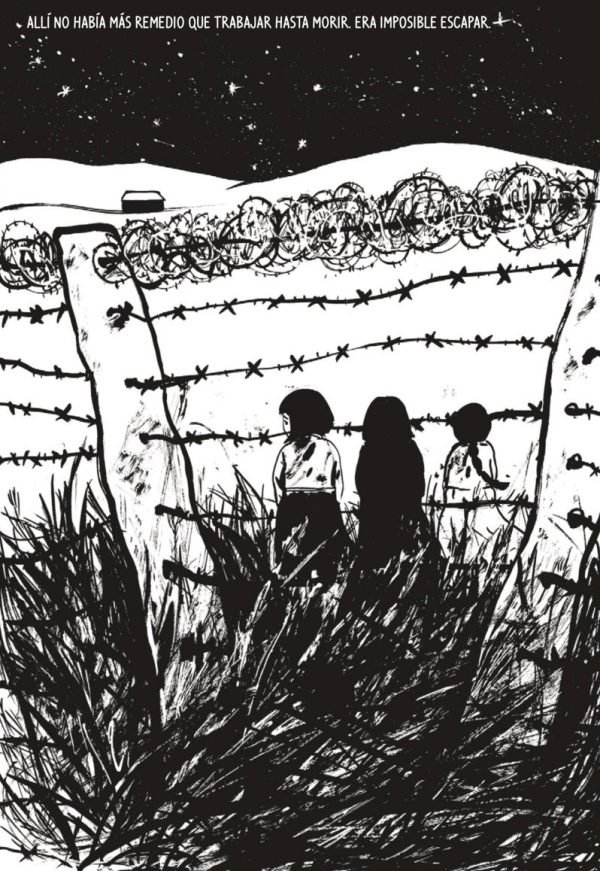 Hierba Supervivencia