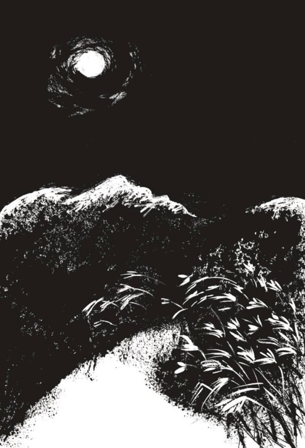 Paisaje nevado de noche