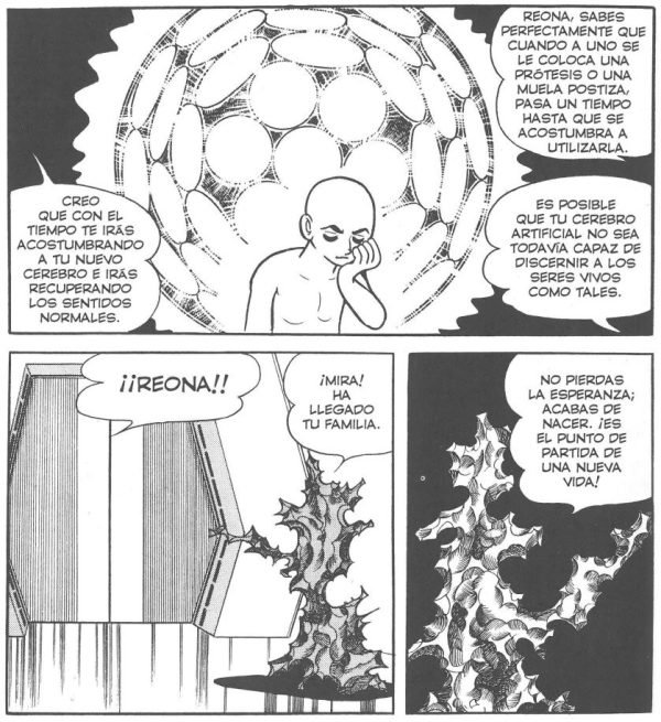 Resurrección El manto celestial Fénix. Resurrección El manto celestial