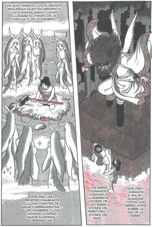 Sol 1ª parte Fénix. Sol 1ª parte