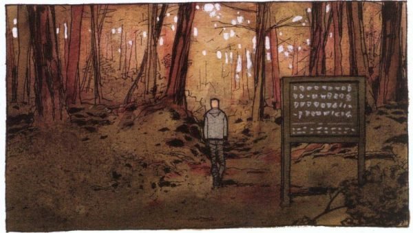 Deambulando por el bosque