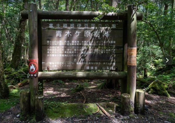 El bosque de los suicidas. Aokigahara