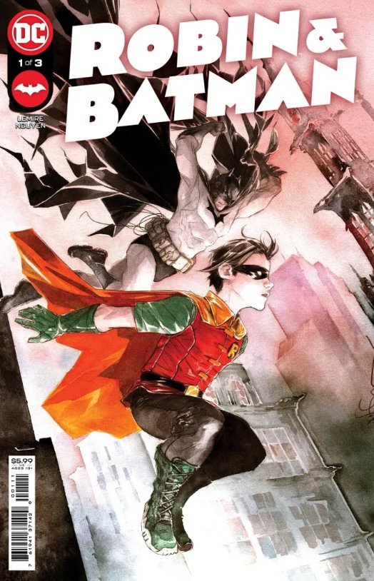 Jeff Lemire. Robin y Batman Portada