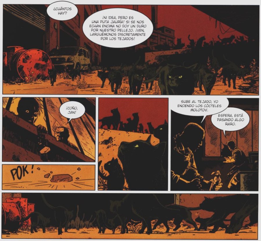 Cientos de gatos Cientos de gatos