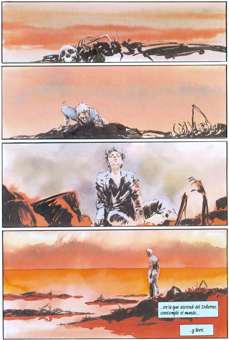 Contemplando la realidad