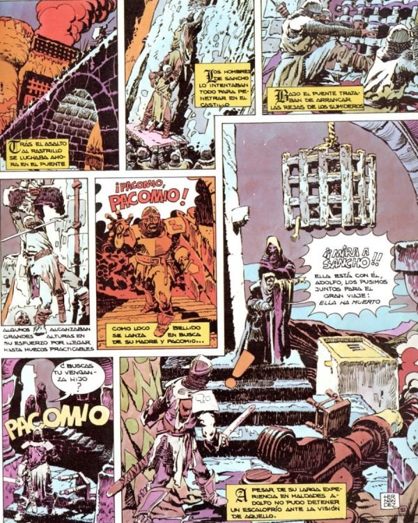 Intentando entrar en el castillo Intentando entrar en el castillo