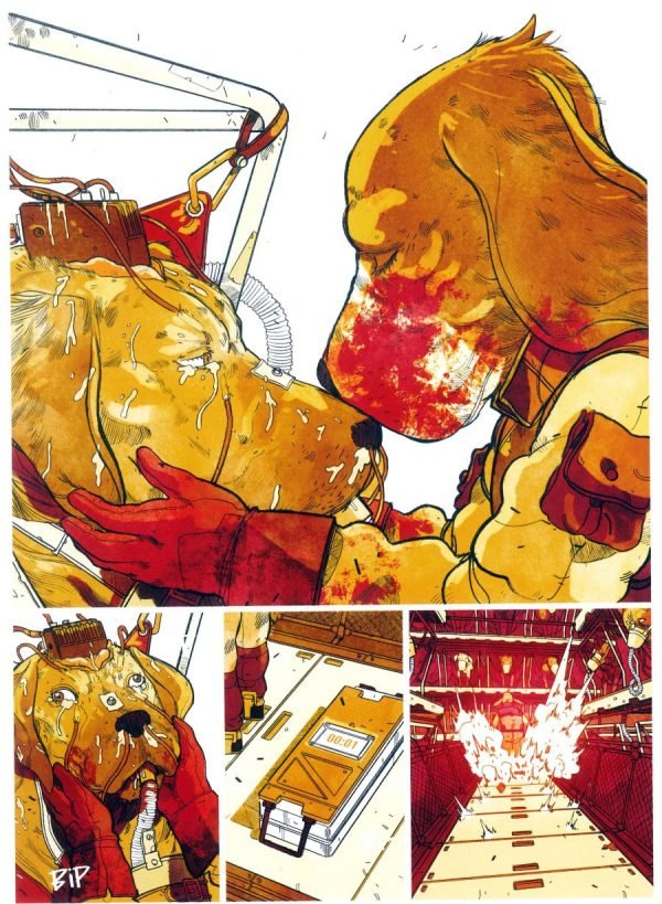 Experimentación canina